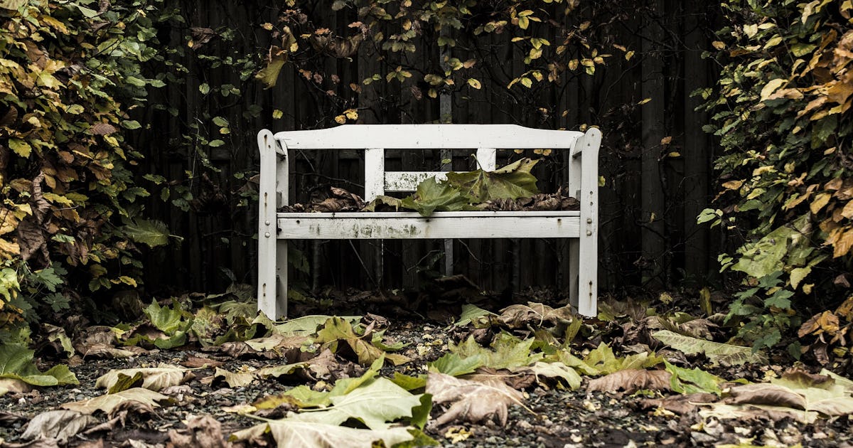 Don T Bury Your Pet In The Backyard For This One Reason