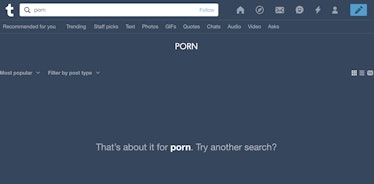 Tumblr results for "porn" on December 14, 2018.
