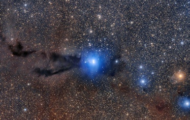 A dark cloud of cosmic dust snakes across this spectacular wide field image, illuminated by the bril...