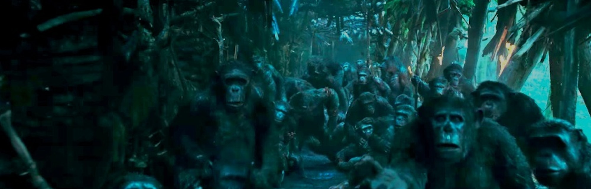 Donald J Trump Usa Strong Apes Together Strong Meme