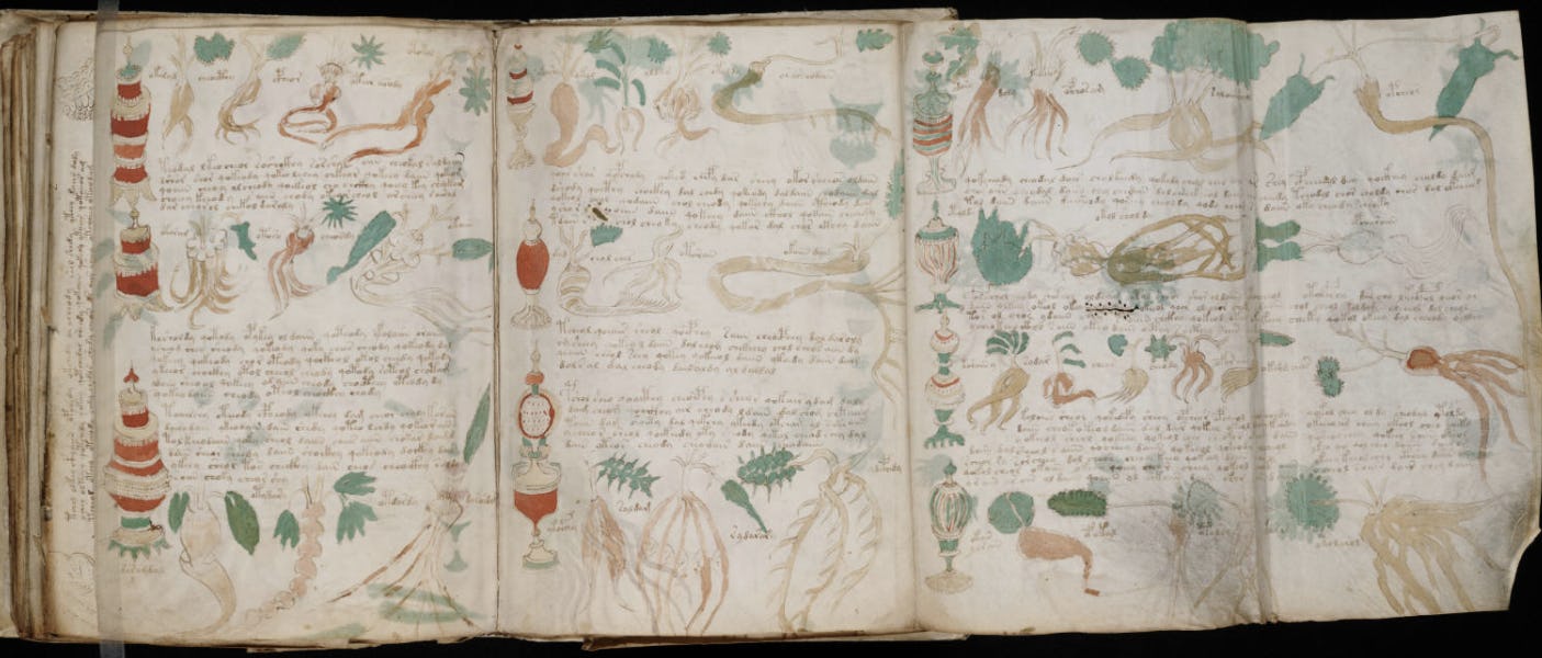 Indecipherable Voynich Manuscript Finally Decoded After A Century