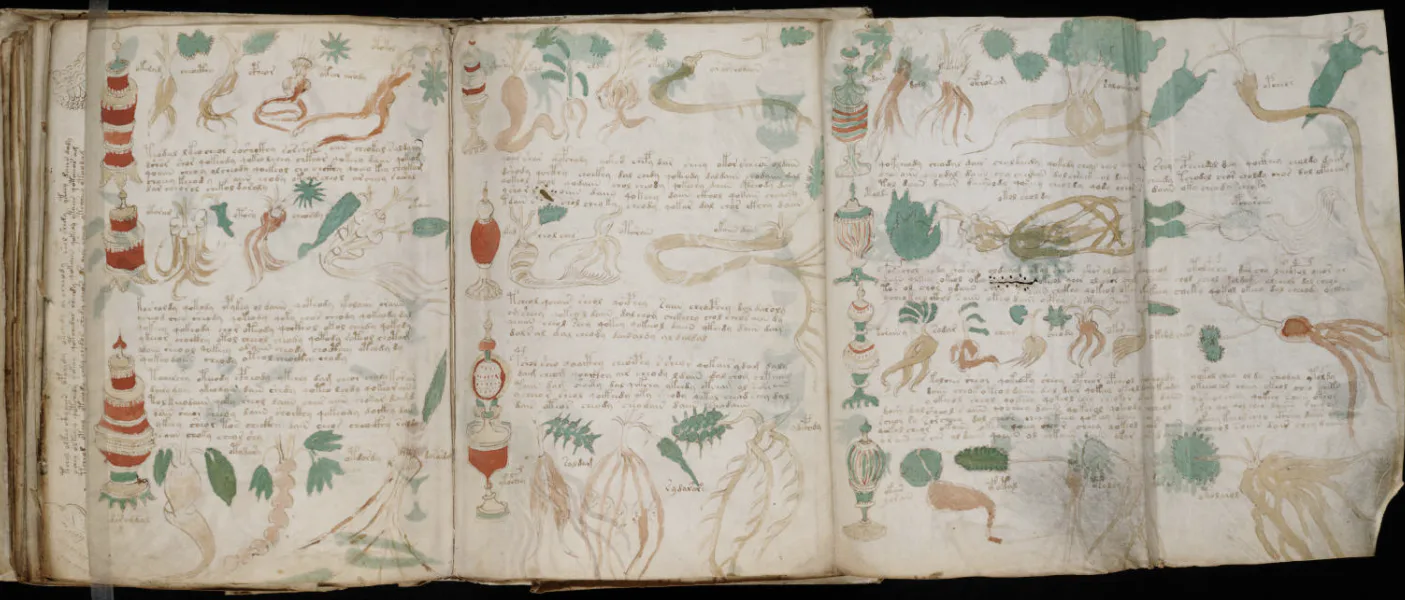 Indecipherable Voynich Manuscript Finally Decoded After a Century