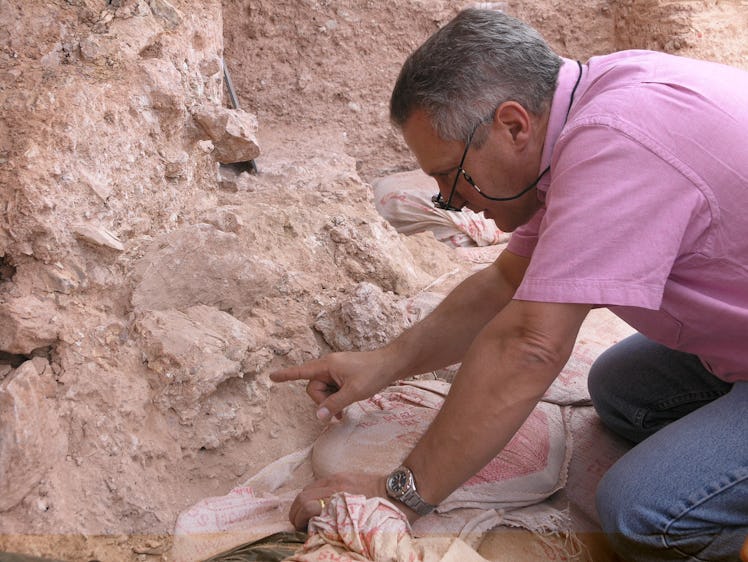 Dr. Jean-Jacques Hublin on first seeing the new finds at Jebel Irhoud (Morocco). He is pointing to t...