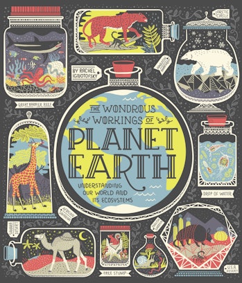 Wondrous Workings of Planet Earth Rachel Ignotofsky