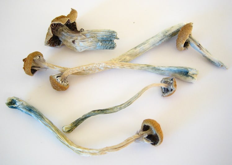 Psilocybin mushrooms are currently as illegal as heroin, but in the next decade, they could become l...
