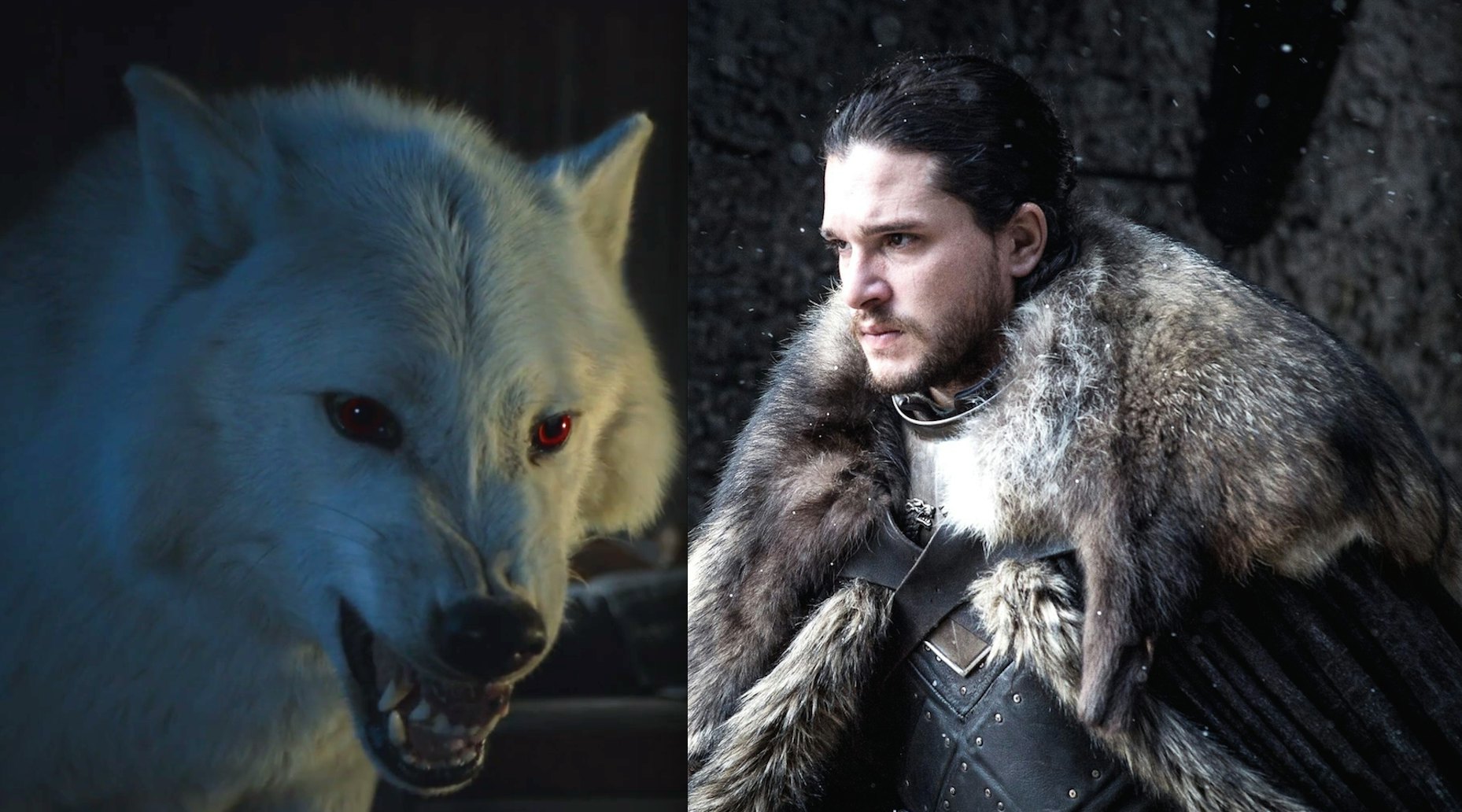 Game Of Thrones Battle Of Winterfell Spoilers Who Will Die In