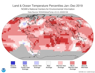 world map showing temperature percentiles for 2019