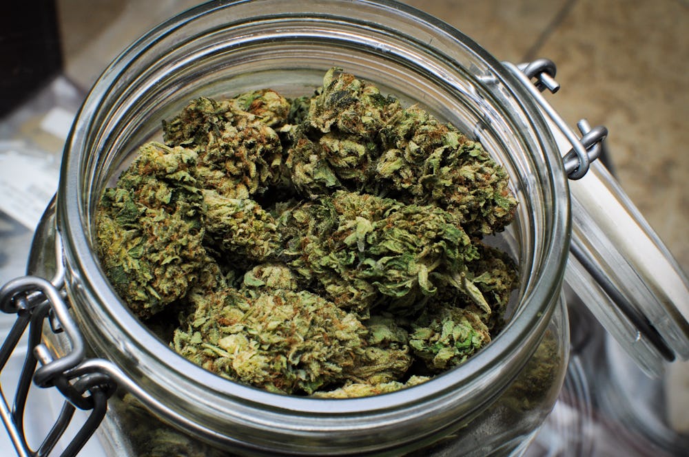 Can Weed Go Bad In A Ziploc Bag Does weed go bad? How to tell if your stash is stale