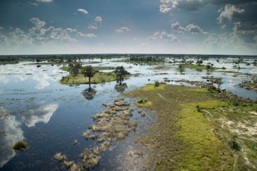 Okavango delta 