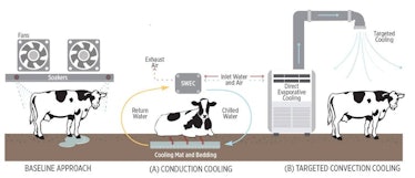 Options for cooling cows using water-filled mats (A) or air blown through fabric ducts (B).