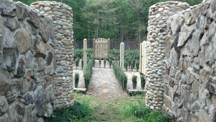 The stone walls in an early stage of John B McLemore's hedge maze.