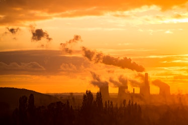 Are pollutants harming the anti-pollutants?