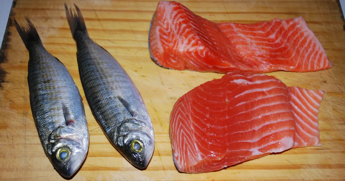 Samon Genetic How Genetically Engineered Salmon Are Made