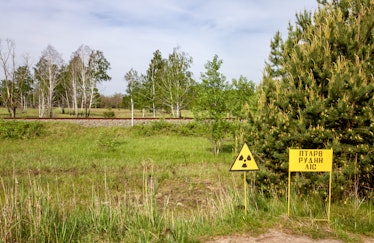 Chernobyl grass field and yellow warning signs