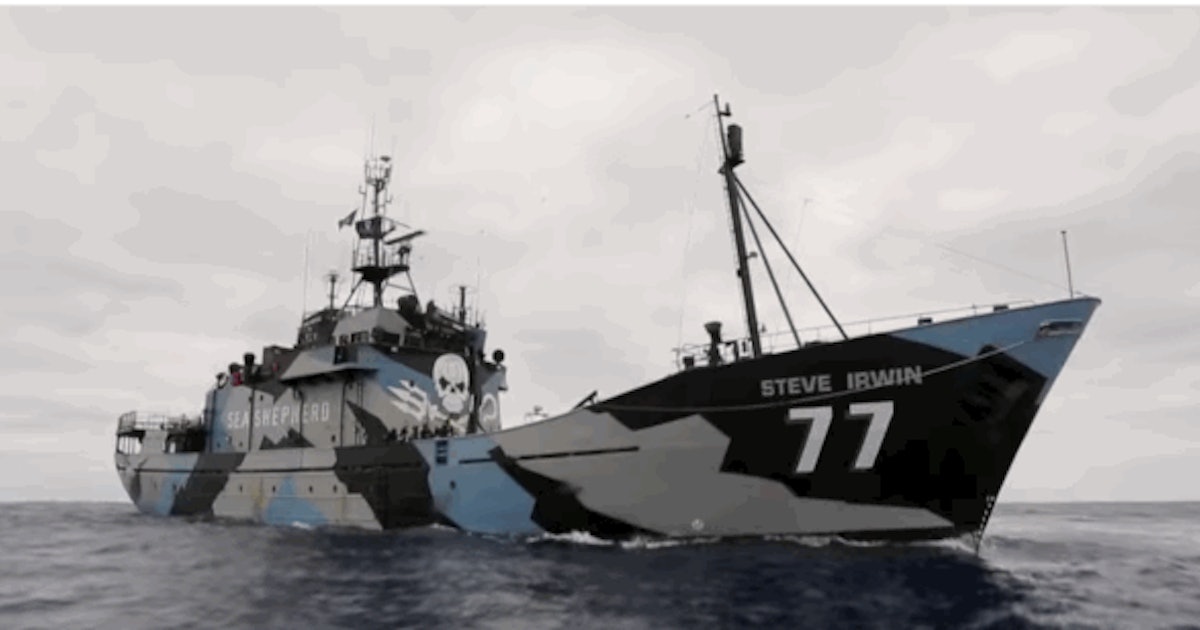 Sea Shepherd Announces the Destruction of an Illegal Antarctic Fishing