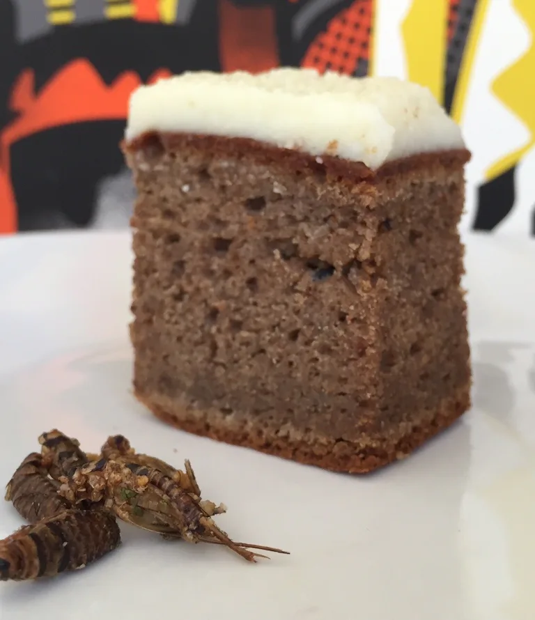 Bug-Based Cooking Goes Gourmet With High-Protein Cricket Flour