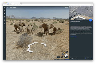 A Google street view in the desert recording elephants.