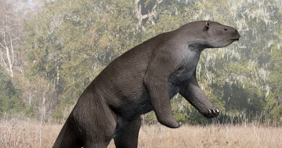 Giant Ground Sloth: 12,600-Year-Old Bones Reveal Humans' Role in Extinction