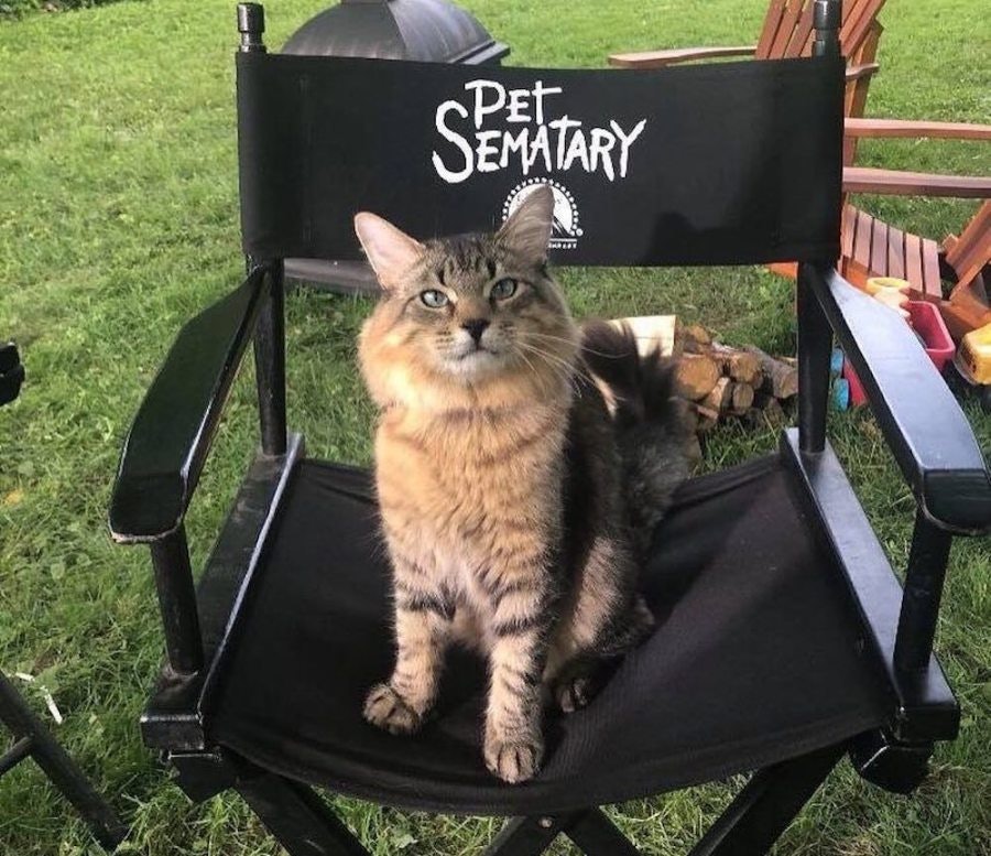 church cat from pet sematary