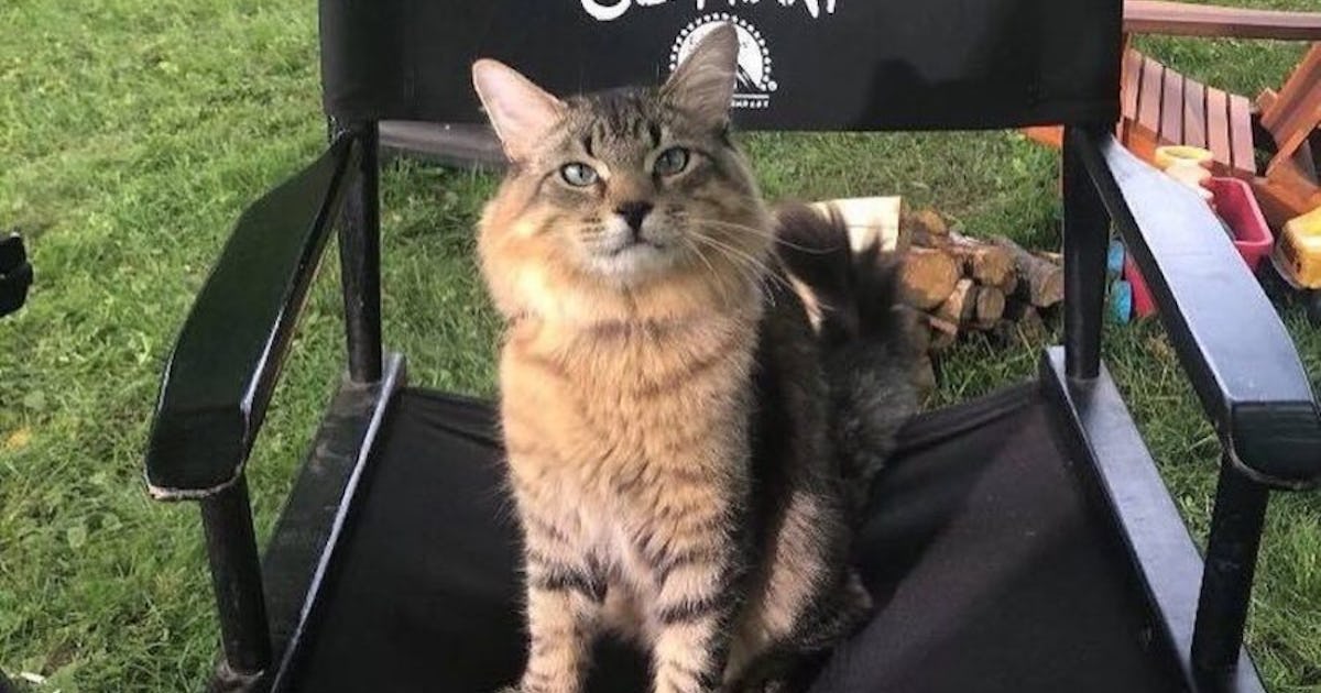 Pet sematary church best sale the cat 2019