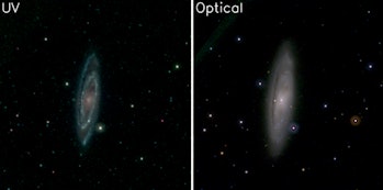 On the left is an image of the nearby galaxy NGC 3623 taken with UV. On the right is an optical imag...