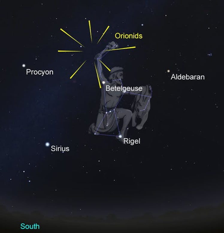 Before dawn, Orion stands upright in the south as seen from the northern hemisphere. [Vancouver 5 a....