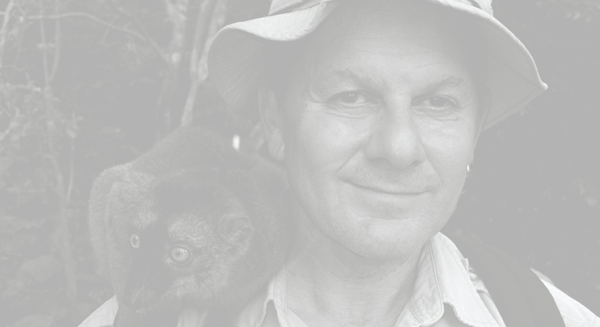 'Force Awakens' Book Author Alan Dean Foster on Revising 'Star Wars