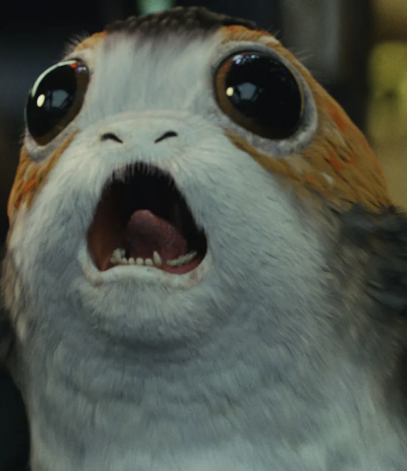 'Star Wars: The Last Jedi': The Biology of its Animals, Porgs and All