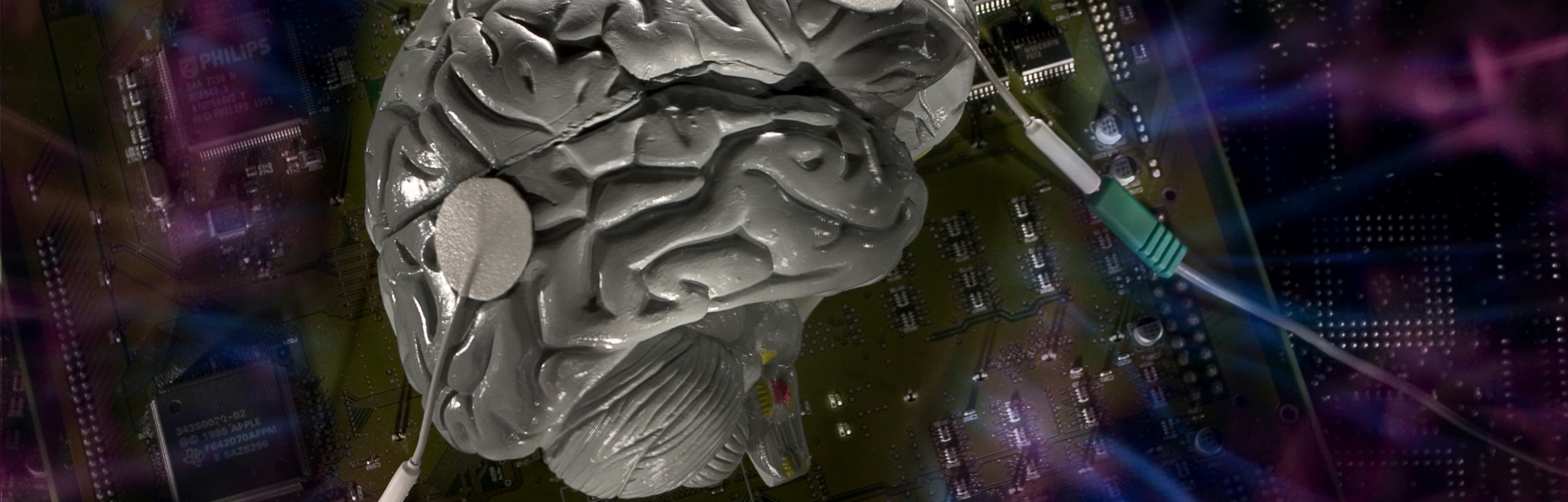 Левое полушарие мозга компьютерная память. Your Brain on Video games. Компьютерный мозг игра