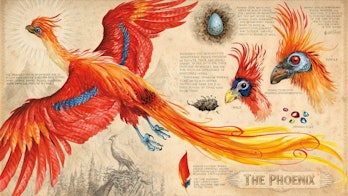 Illustration from Jim Kay's Illustrated Edition of 'Harry Potter and the Chamber of Secrets'