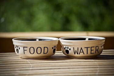 empty pet bowls