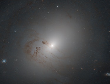 lenticular galaxy ngc 2655