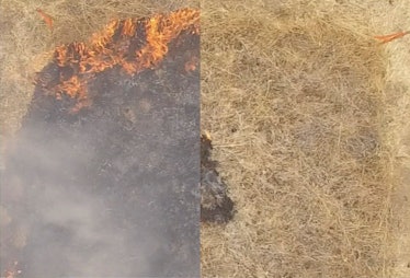 grass fire