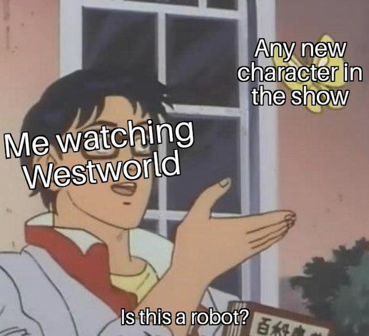 westworld pigeon meme