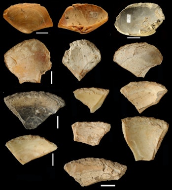 clamshell tools, Neanderthals 