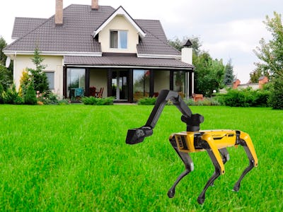 The Boston Dynamics Robot dog in yellow and black in front of a family house
