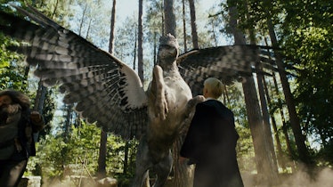 Draco Malfoy and Buckbeak in a Harry Potter scene