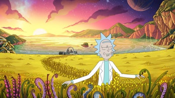 rick and morty old man and the seat