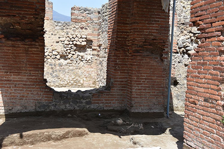 pompeii child skeleton