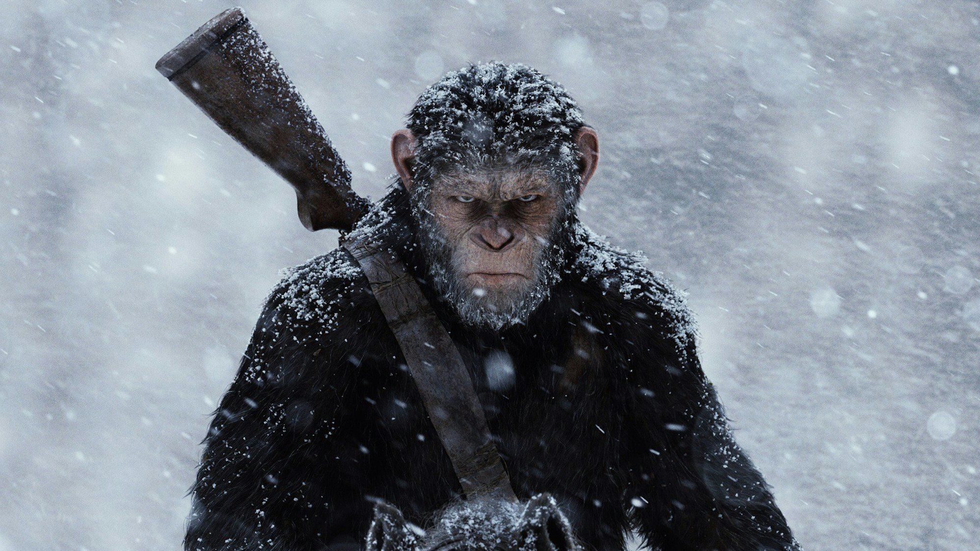 of the Apes 4' release date, trailer, cast & more about the sequel