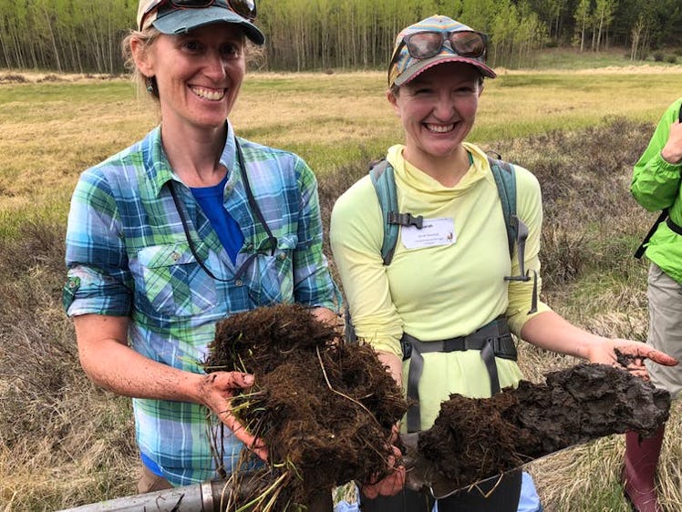 Wetland soil core taken from Todd Gulch Fen at 10,000 feet in the Colorado Rockies. The dark, carbon...