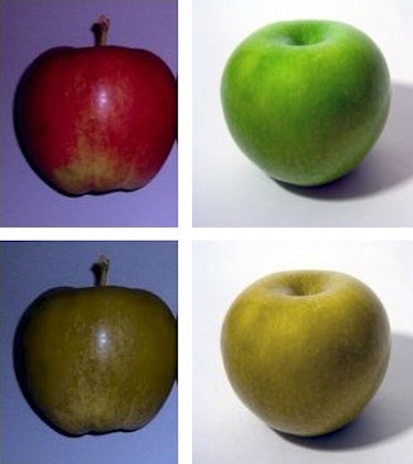 apples different colors