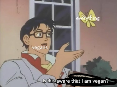 vegan pigeon meme