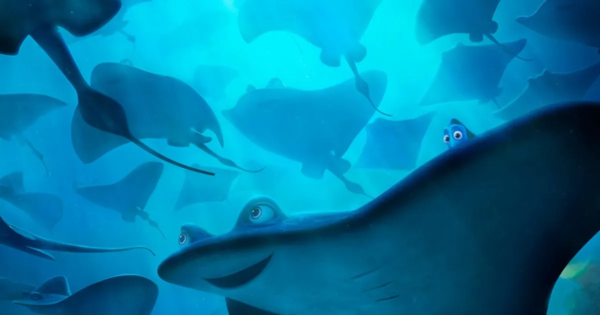 Ray Nemo Finding Nemo Characters Mr Ray