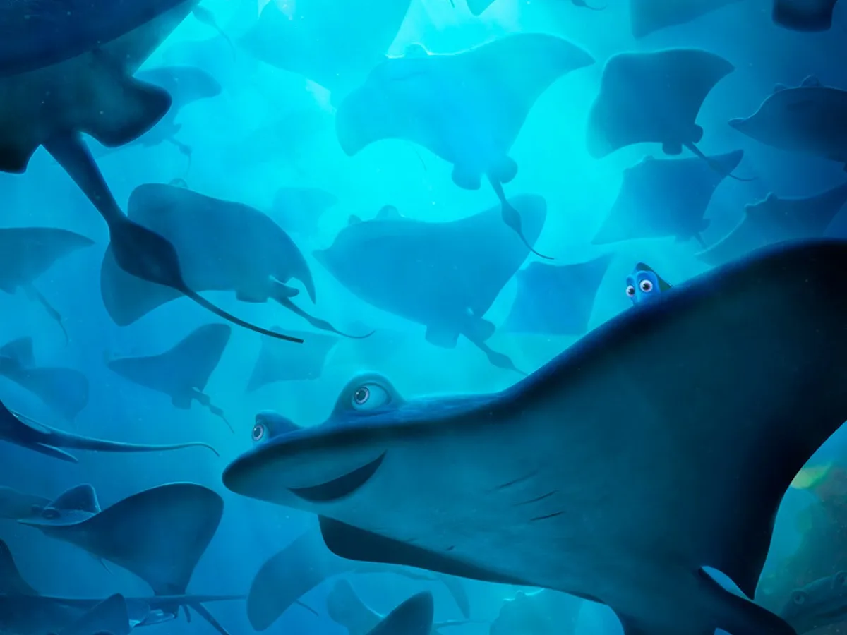 Finding Nemo Characters Mr Ray Mr. Ray (Finding Nemo) | The Ultimate