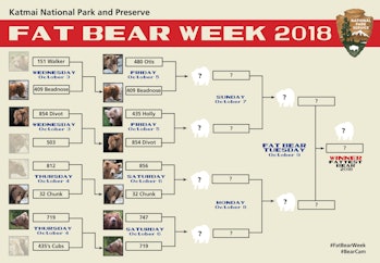 The 2018 Fat Bear Week Bracket. As you can see, bear 409, aka Beadnose, faced off against Otis on Fr...