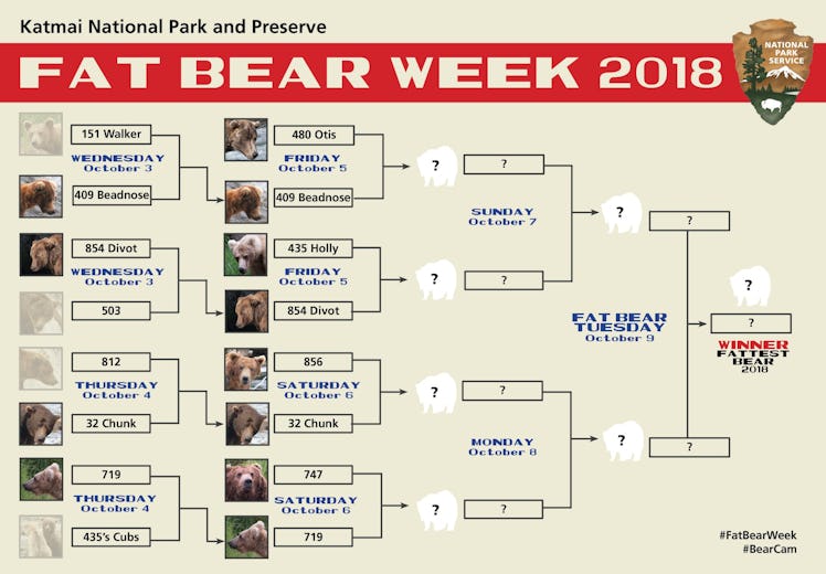 The 2018 Fat Bear Week Bracket. As you can see, bear 409, aka Beadnose, faced off against Otis on Fr...
