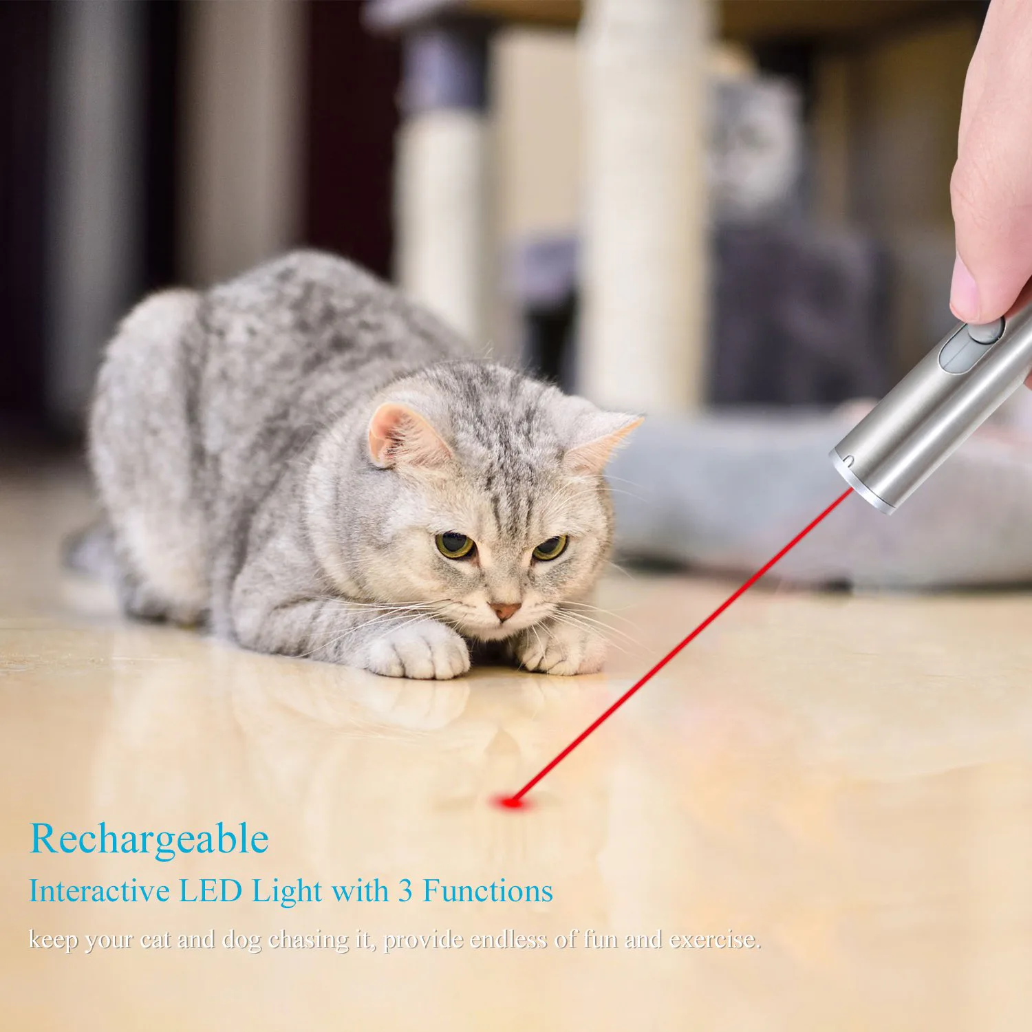 rechargeable cat laser
