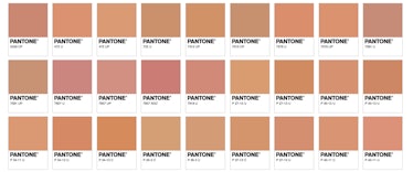 pantone hot dog colors