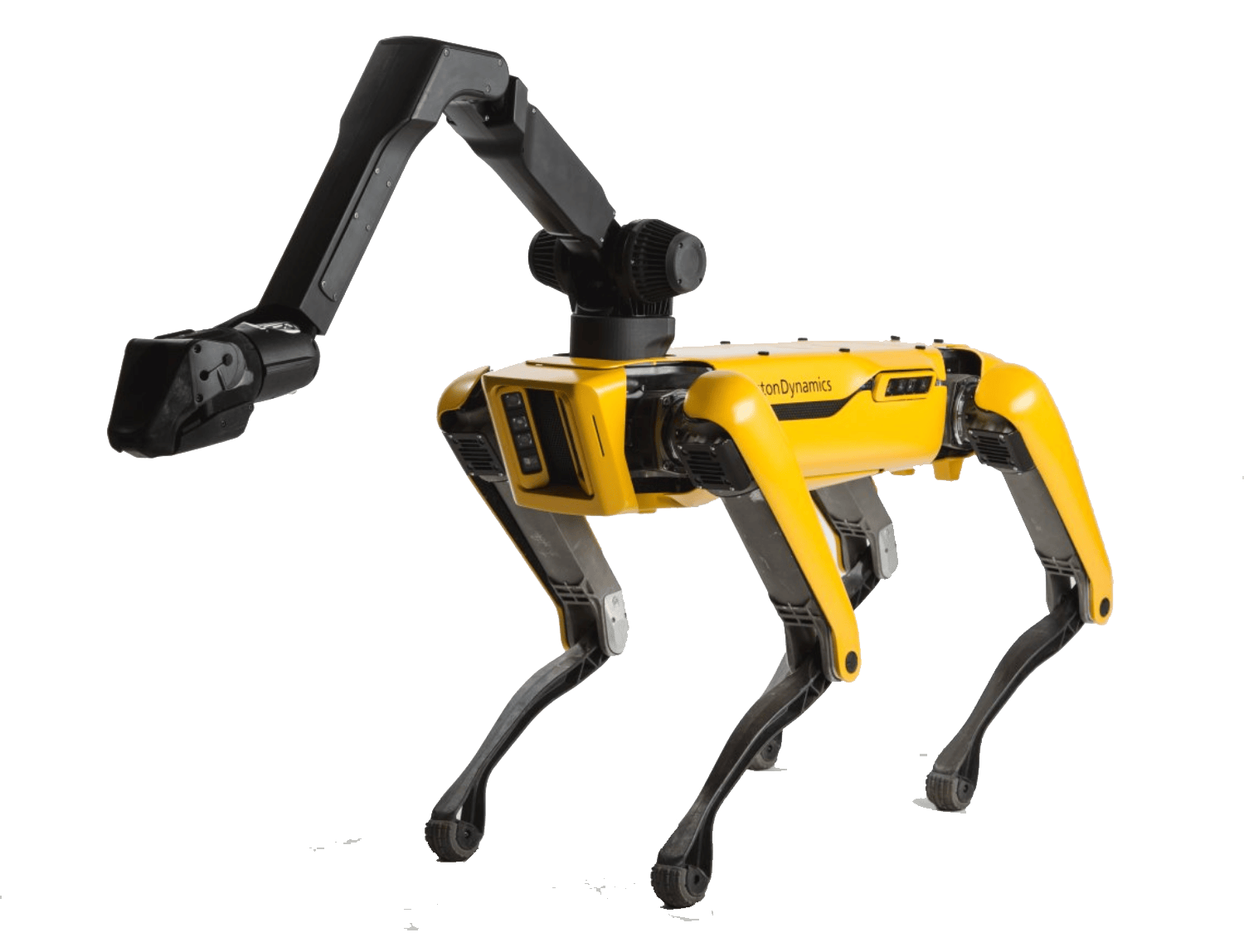 Spot Robot Dog Boston Dynamics Prosthetics 11+ Thousand Walking